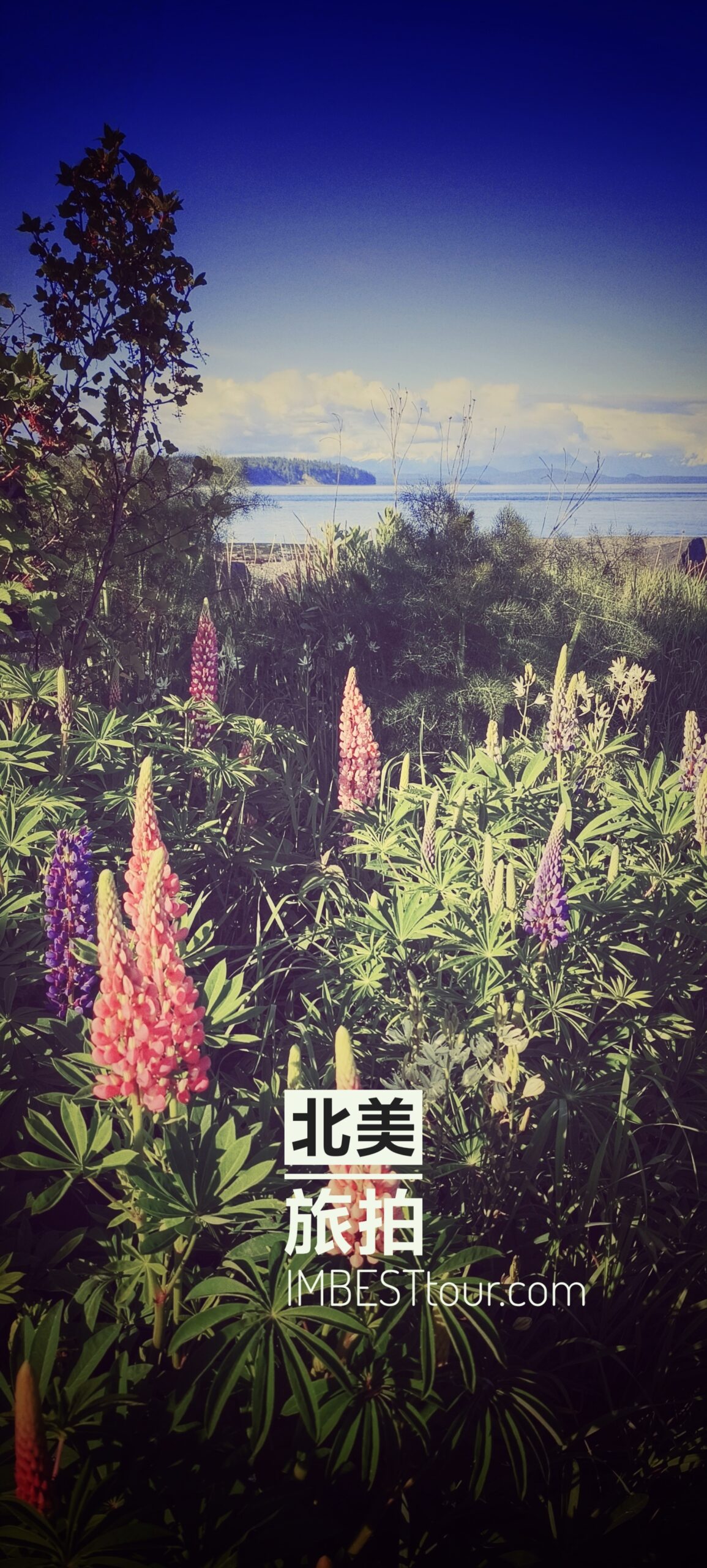 airbnb - campbell river