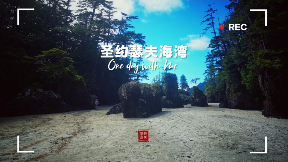 圣约瑟夫湾的海滩