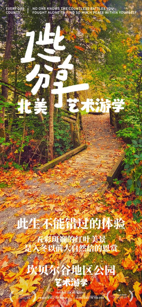 兰利十月最美赏枫地